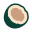 Coconut Sugar